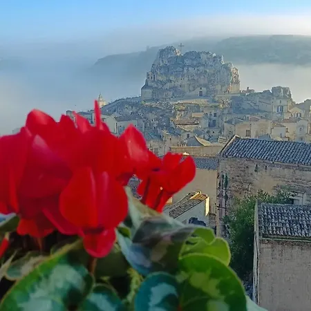 Sunflower Rose * Matera