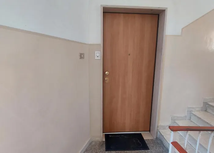 Sunflower Rose * マテーラ