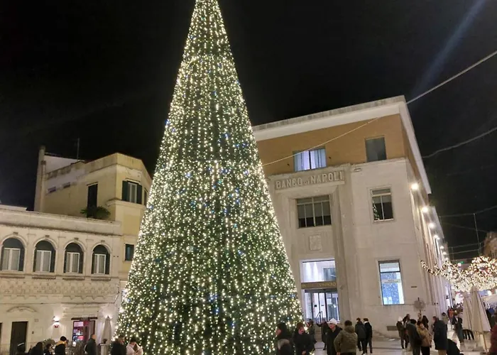 Sunflower Rose マテーラ