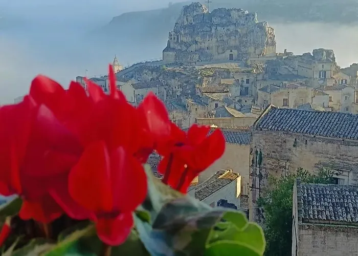 Sunflower Rose * マテーラ